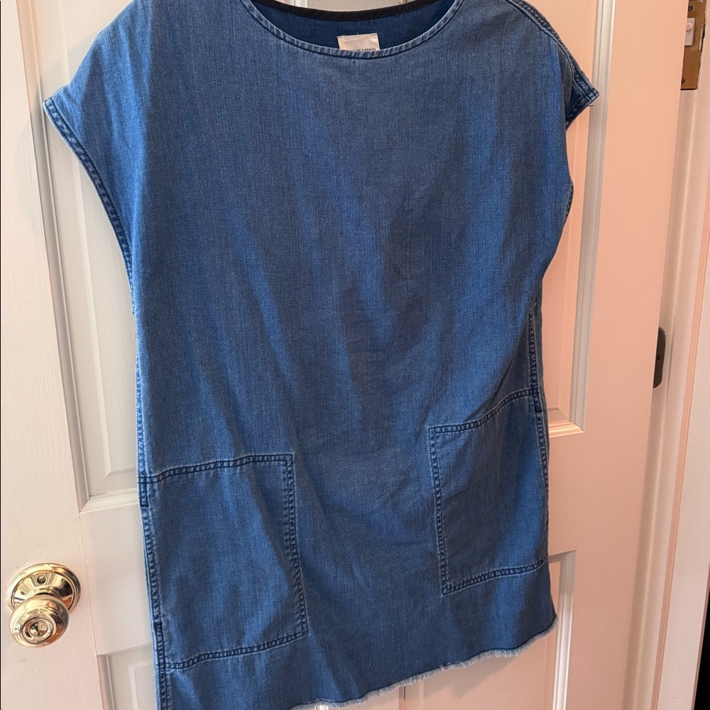 Wilfred Free Denim Raw Hem Nori Dress